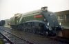 11-60009-in-a-downpour,-Leuchars-21-Sept-1991-fbook.jpg
