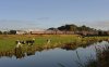 34067 Catterall (Lancaster Canal).jpg