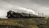 Northern Belle 2 1b.jpg