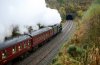 _DSC2354-Edit.jpg