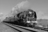 6233_edited-1.jpg