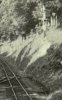 9 Chelf Up Hm 15 CE Gooding blow-up.jpg