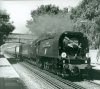 34067 Pluckley Small.jpg
