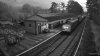 SnapShot-20211106_165618.jpg