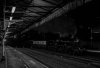 21D_1465 45231 Wellinton 171121 bw.jpg