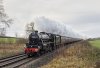 1658 44871 Tackley 11-12-21.jpg