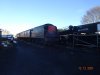 DSC01170.JPG