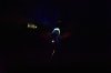 DSC_0543a.jpg