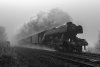 Flying Scotsman 3b.jpg