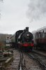 DSC_0899 - Copy.JPG