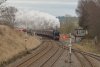 45699-01b.jpg
