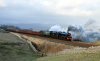 _DSC2426-Edit.jpg