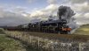 WCME 45690+34067 2b.jpg