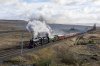 DSC_12856.jpg