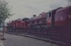 5596 & 5690 Dinting Railway Centre March 1974 006-1 Dave Collier.jpg