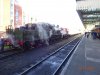 DSC01338.JPG