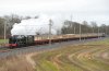 46100-01c.jpg