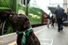 700E5D3C-5553-4DF9-80DE-577327F5A1C4.jpeg