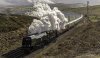 Northern Belle 1b.jpg