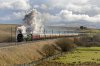 Tangmere-(42)-fbook.jpg