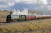 Tangmere-(62)-fbook.jpg