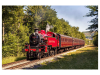 3DA696F4-DEA3-447B-8D7F-F6E16061D36B.png
