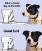 upload_2022-3-4_9-12-25.png