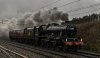 CCE 45690 1b.jpg