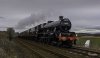 CCE 45690 2b.jpg