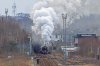 Duchess-(55)-Durran-Hill-fbook.jpg