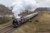 Duchess-(91)-Durran-Hill-fbook.jpg