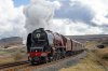 Duchess-(26)-Lunds-fbook.jpg