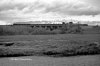 15D_1059.jpg