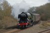 DSC01700.jpg