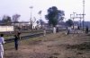 88-2-19 4 cricket Malakwal copy.jpg