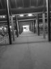 AD353F3C-F280-48FC-B53F-7F771427AC41.jpeg