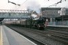 IMG_2022AA.jpg