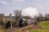 22D_0434 4498 Waterworks Crossing, Hapton Loade 280322.jpg
