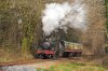 95 5542 Stretchford Woods 25-03-22.jpg