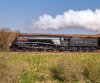 22D_0443 4498 Eardington 290322.jpg
