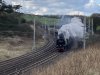 A4202E6D-0BBD-47A9-9E53-838DDA232164.jpeg