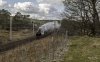 Northern Belle 3 2b.jpg