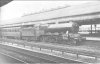 10437 at Bolton.jpg