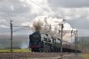 35018-01.jpg