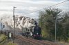 34046-01b.jpg