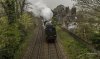 Scots Guardsman Test 1b.jpg