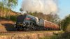 4498 Sir Nigel Gresley Tenbury Wall.jpg