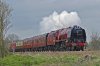MA-6233spalding22042022.jpg