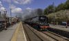 Northern Berlle 4 Tangmere 4b.jpg