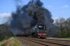 AAA_3704.....34067.jpg